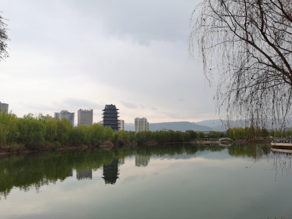 兰州银滩黄河湿地公园。新甘肃·甘肃日报记者杜雪琴摄.jpg